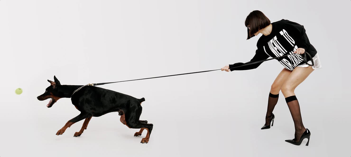 A woman in Court Date apparel playing fetch with a Doberman